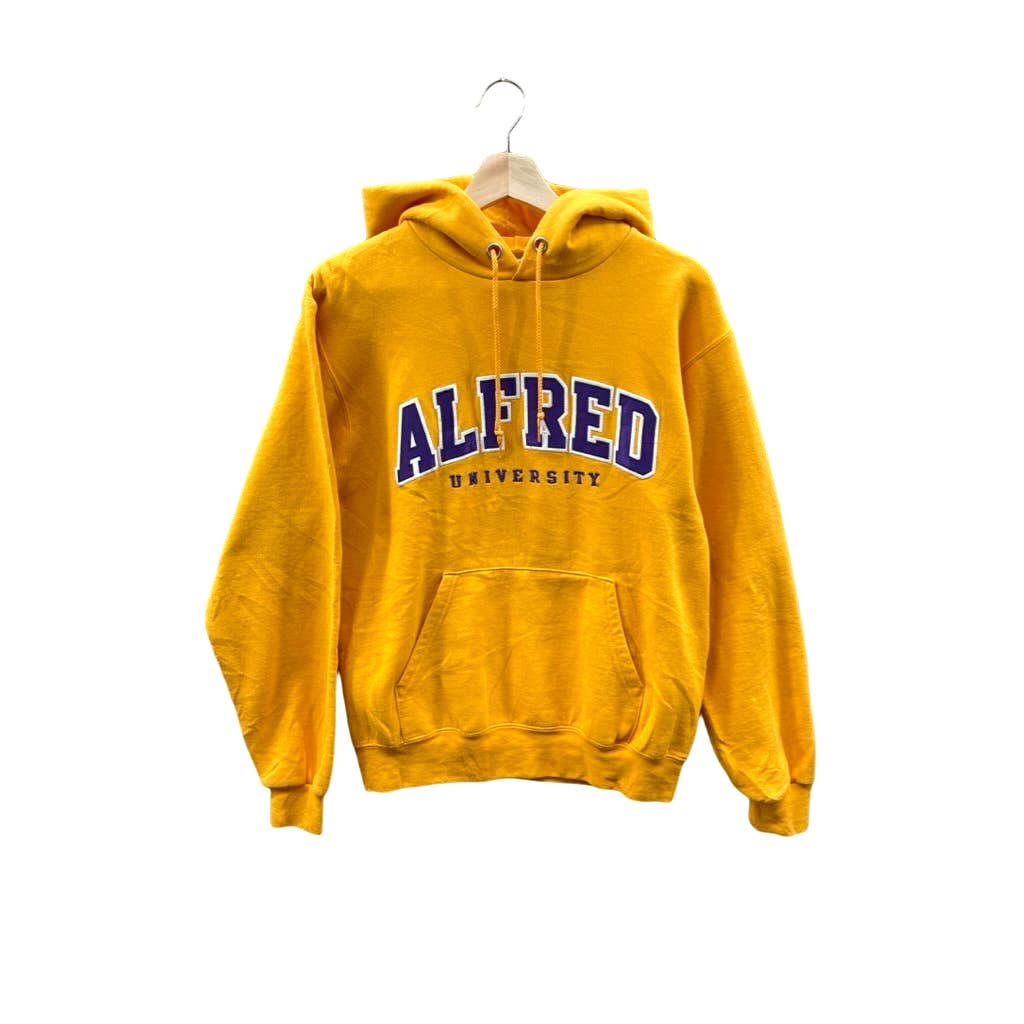 Vintage Champion Alfred University Embroidered College Hoodie