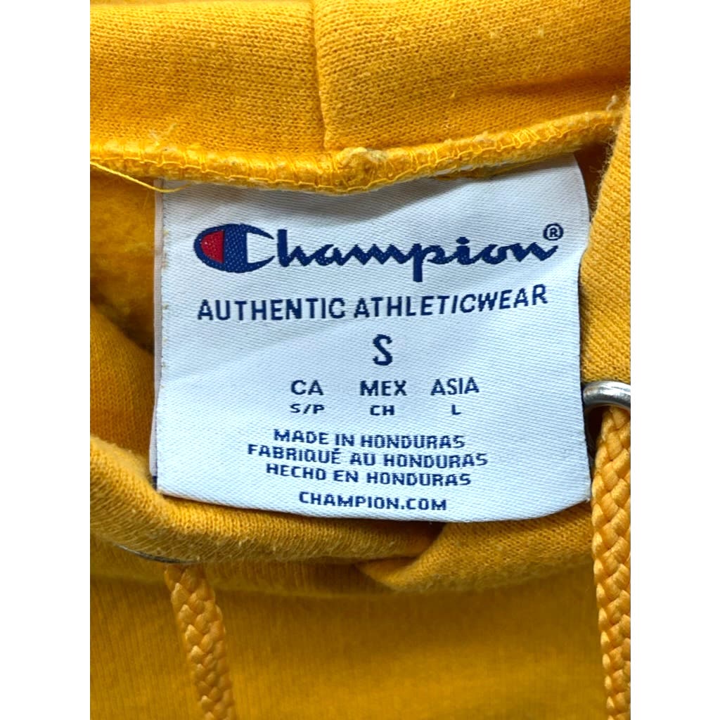 Vintage Champion Alfred University Embroidered College Hoodie