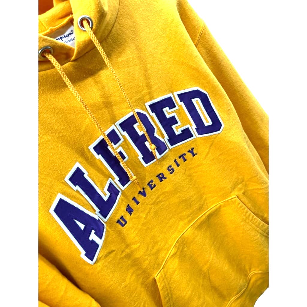 Vintage Champion Alfred University Embroidered College Hoodie