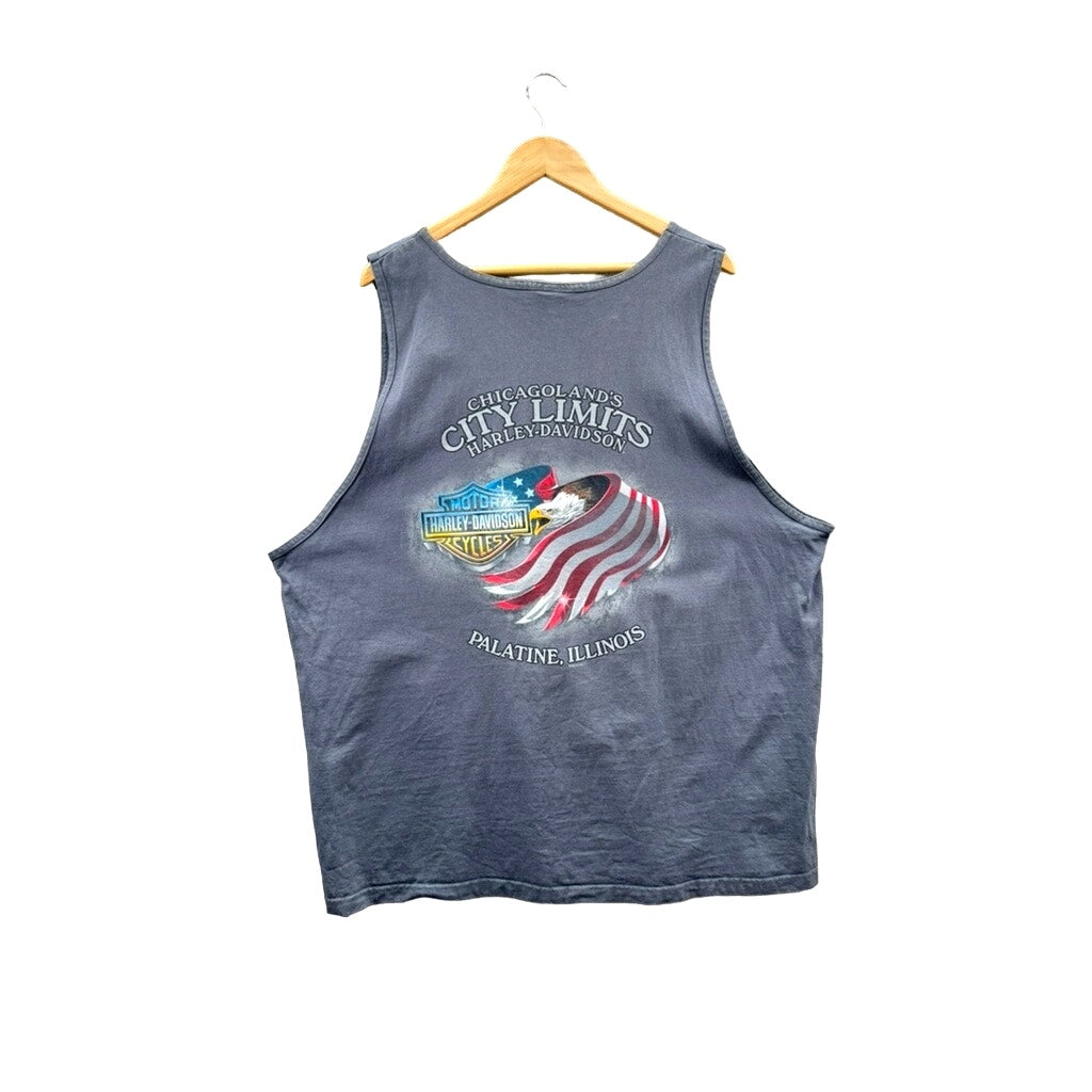 2000's Harley-Davidson Chicagoland Skull Hands Graphic Tank Top