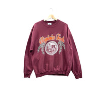 Vintage 1990's Virginia Tech University Crest Logo Sweatshirt