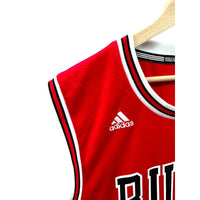 Adidas Chicago Bulls Dwyane Wade NBA Jersey