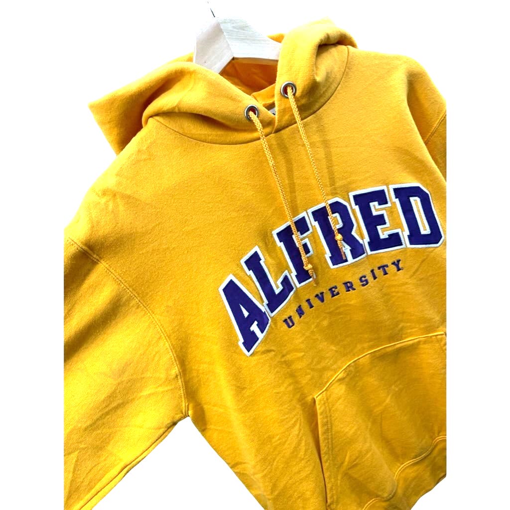 Vintage Champion Alfred University Embroidered College Hoodie