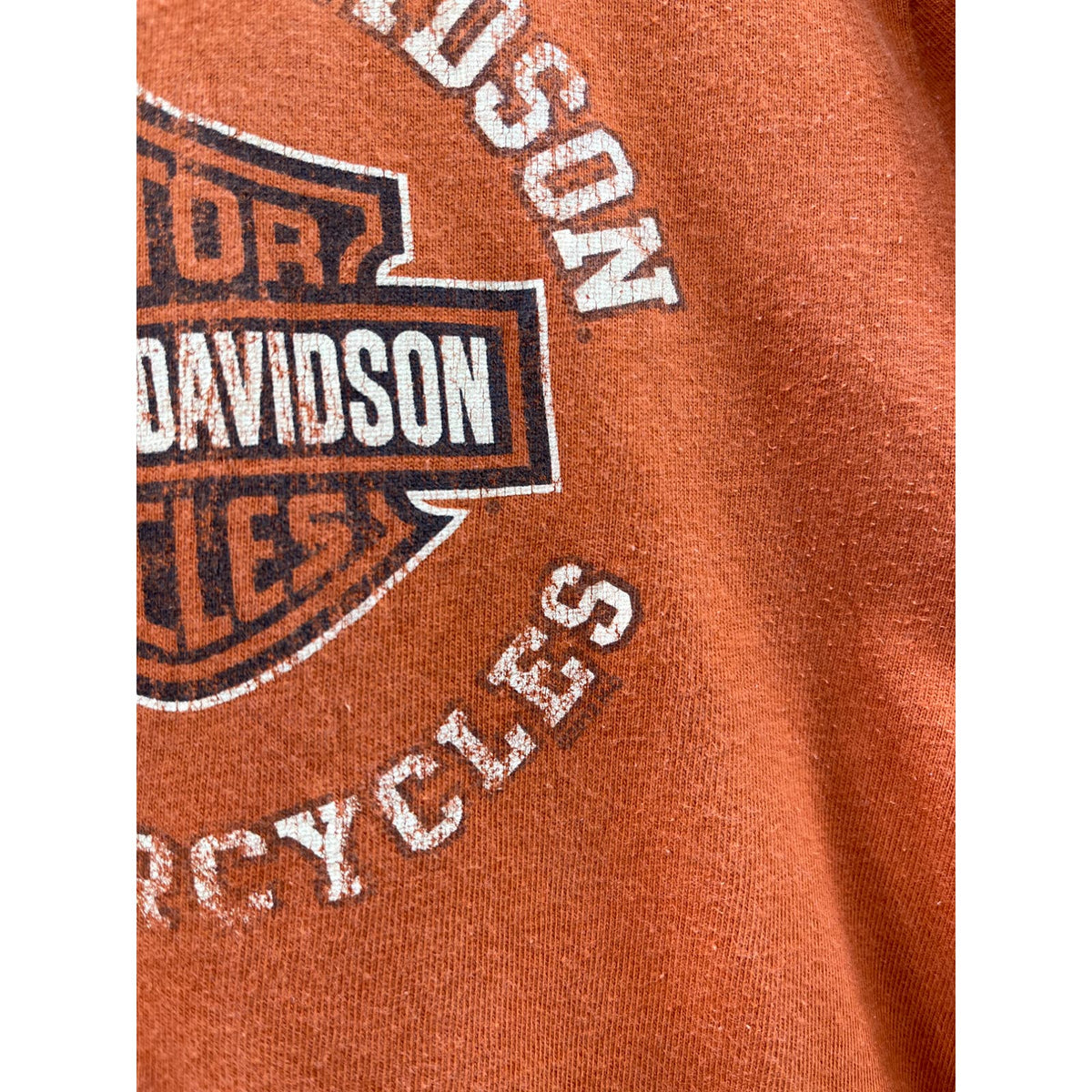 Vintage 2000's Harley-Davidson Naples Florida Graphic T-Shirt