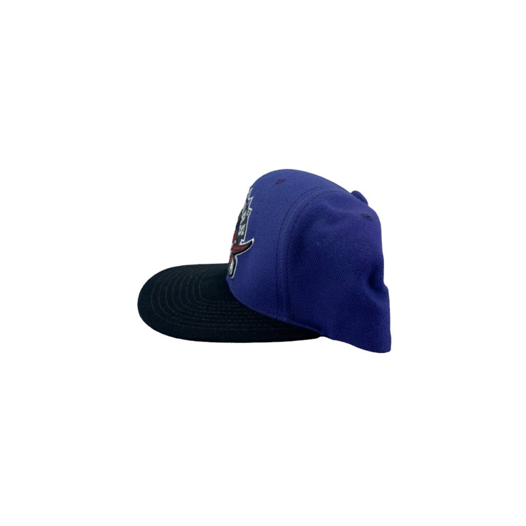 Mitchell & Ness Toronto Raptors Two Tone Team Logo Snapback Hat