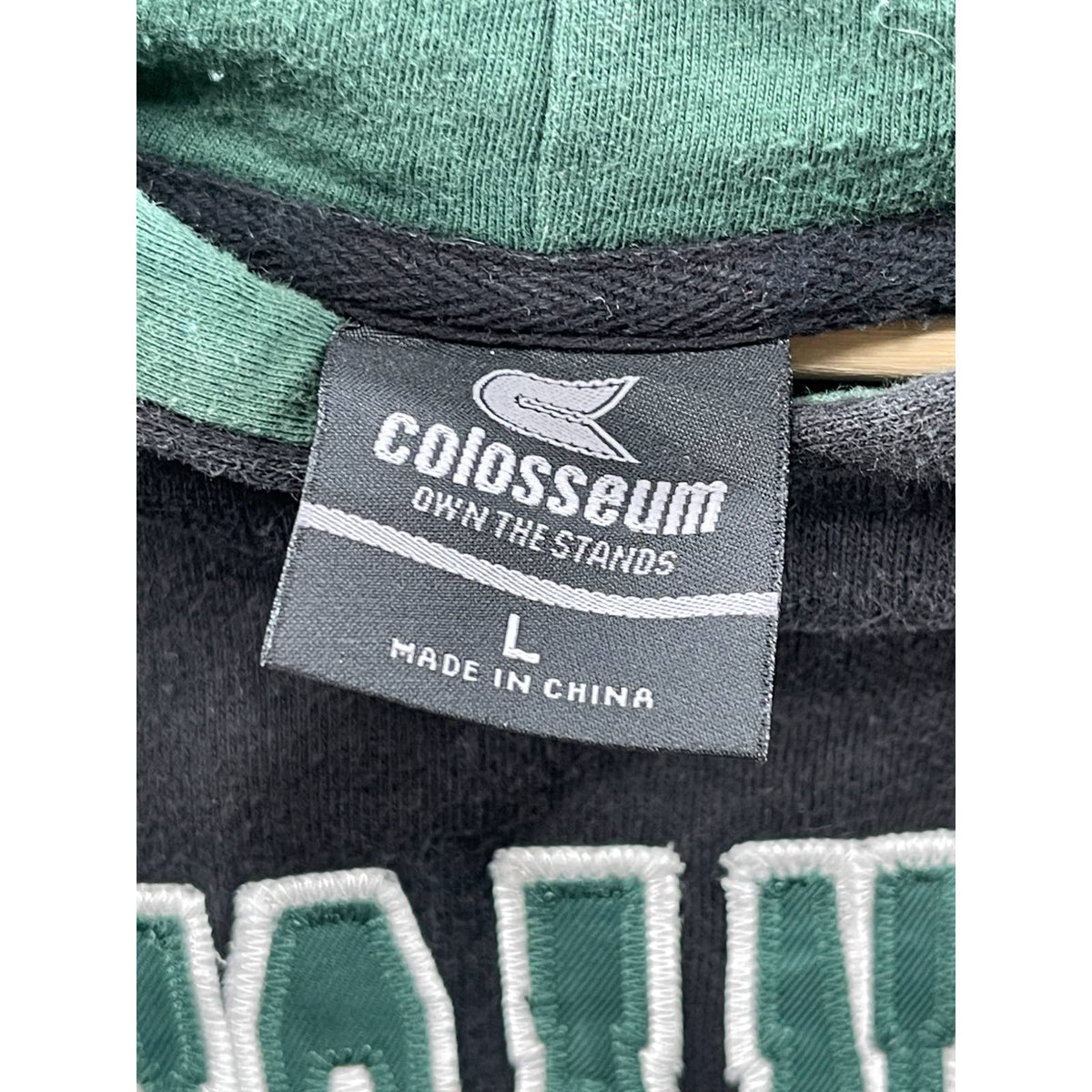 Vintage 2000's Michigan State University Collegiate Hoodie