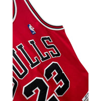 Vintage Mitchell & Ness Hardwood Classics Chicago Bulls Jordan NBA Jersey