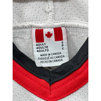 Vintage Willowdale Blackhawks Reworked CCM Hockey Club Jersey