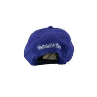 Mitchell & Ness Toronto Raptors Two Tone Team Logo Snapback Hat